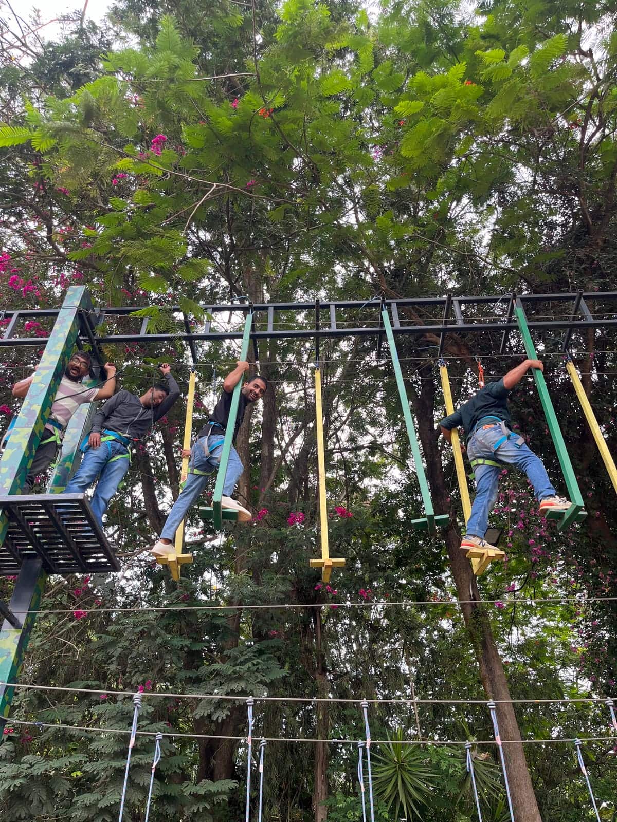 Team building on the hanging rope bridge in the adventure zone