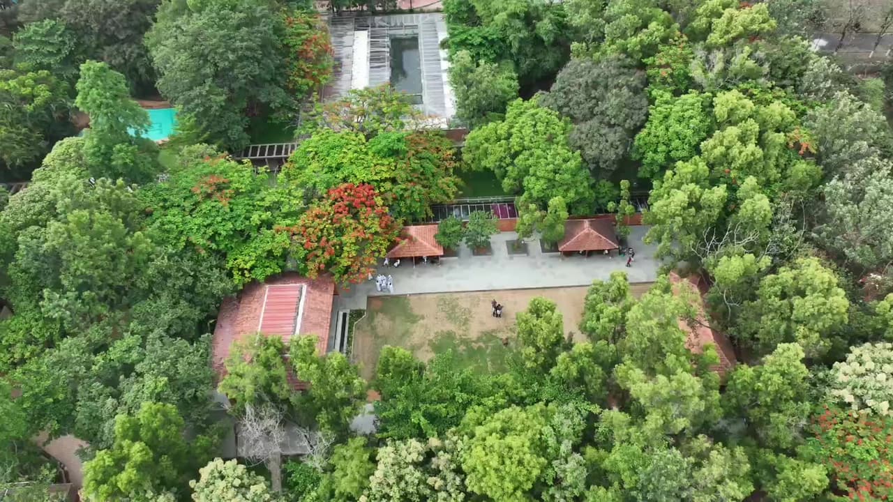 Aerial view of the resort cottages set among the tree canopy at Gold Coins Club & Resort