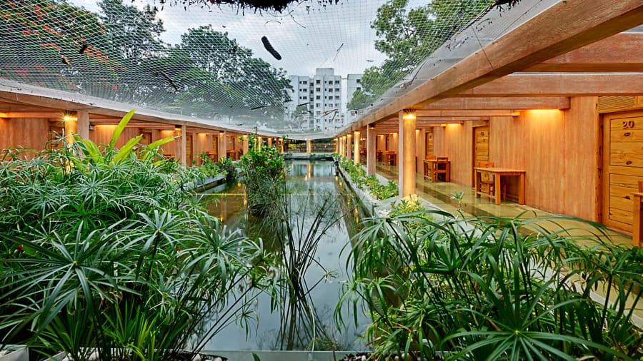 The Aqua Room water court, greenery along the water